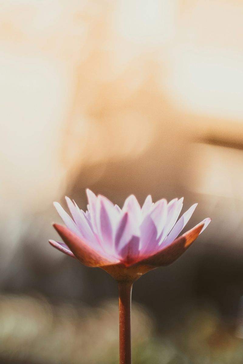 Hatha Yoga